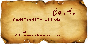 Császár Alinda névjegykártya